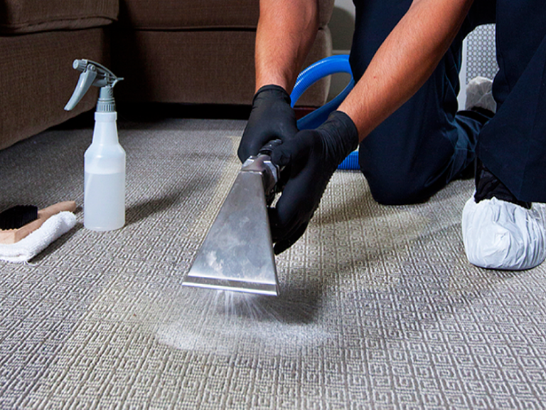 shampooing-carpet-cleaning